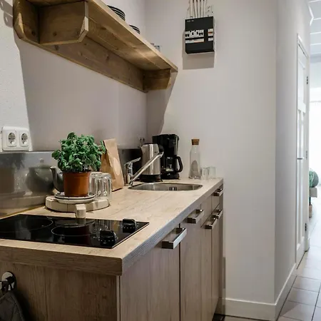 דירה Seaside Double Duyn קלאנטסהוך